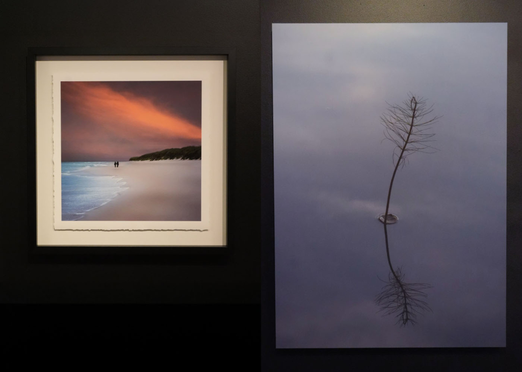 Två motiv från utställning i Crimsons Showroom: ett föreställer två människor som går längs en strand, det andra en vattenväxt som sticker upp över en blank vattenyta.