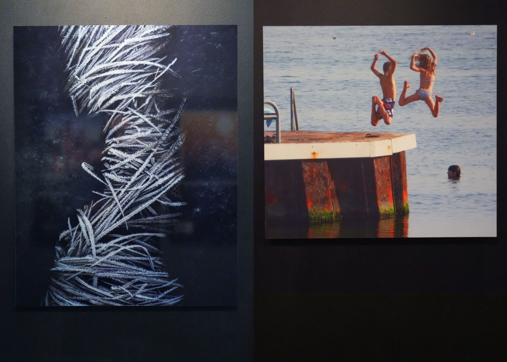 Två motiv från utställning i Crimsons Showroom: ett föreställer fruset gräs i formation, det andra två barn som hoppar från en brygga ner i vattnet.