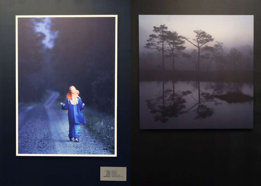 Två motiv från utställning i Crimsons Showroom: ett föreställer en ung flicka klädd i regnkläder som går längs en skogsväg, det andra träd som står längs en vattenlinje.