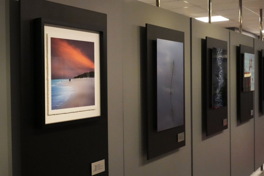 Fotografier utskrivna och inramade och monterade på olika material och uppsatta bredvid varandra på en gråvägg i Crimsons Showroom, för utställningen Fotosidans Vårcup 2025