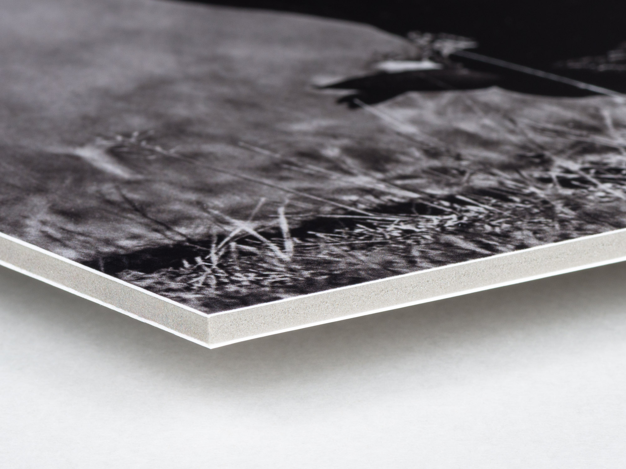 Tryck på Kapa av hög kvalité Utskrift i stora format Crimson