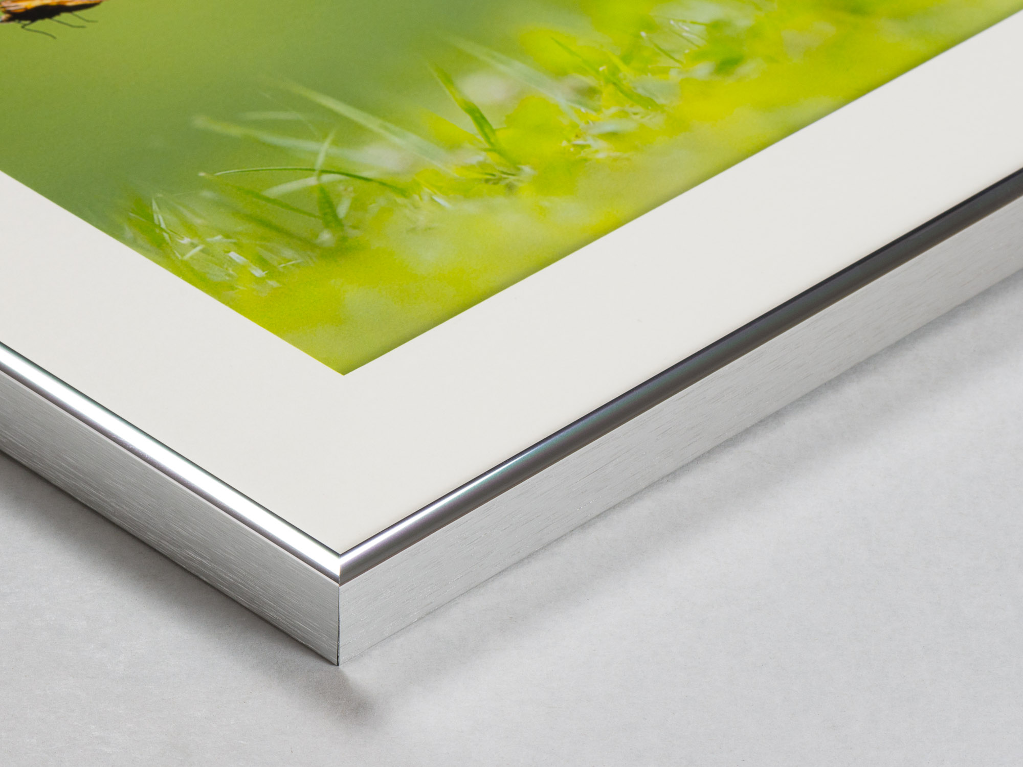 Inramning med aluminiumprofil, passepartout och fotografisk bild